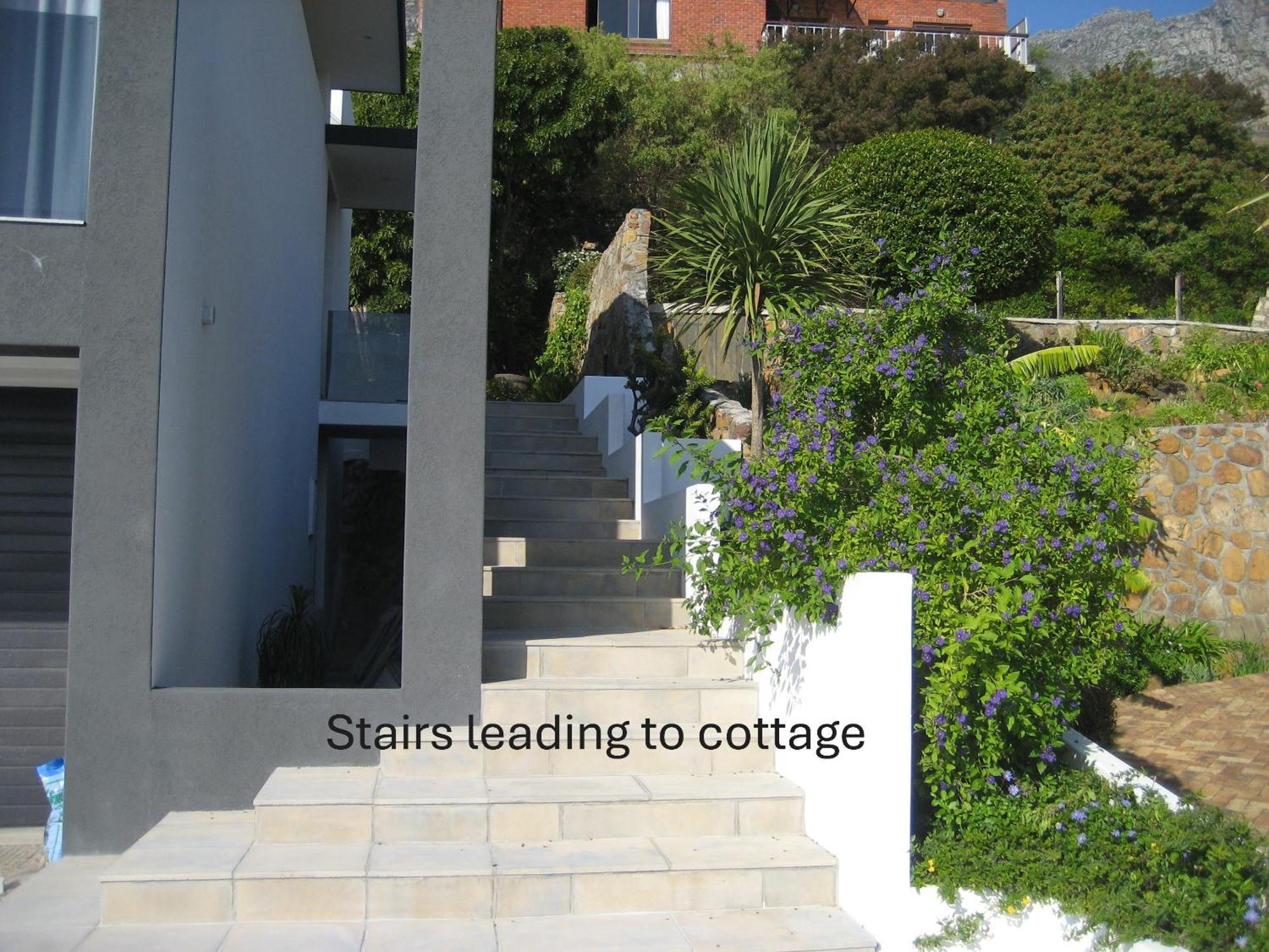 Camps Bay Cosy Accommodation Cape Town Ngoại thất bức ảnh
