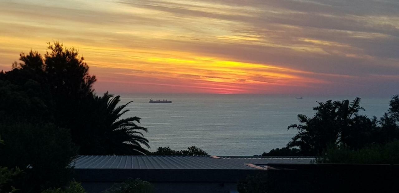 Camps Bay Cosy Accommodation Cape Town Ngoại thất bức ảnh